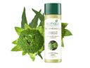 Biotique Bio Bhringraj Therapeutic Oil Intensive Hair Regrowth Treatment