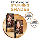 l-oreal-paris-excellence-fashion-highlights-hair-color