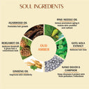 Vedic Valley Refreshing Hair & Body Wash Oud Amber (300ml)