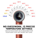 Buy Alan Truman F09 Digi-dryer Rose Gold (380gm) Online in India