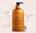 Buy Beauty Garage Pure African Shea Butter Retention Treatment Shampoo (750ml) Online in India