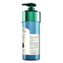Biotique Ocean Kelp Anti-Hair Fall Shampoo For Hair Growth Therapy