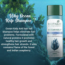 Biotique Ocean Kelp Anti-Hair Fall Shampoo For Hair Growth Therapy