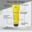 Buy Floractive Profissional Marroco Golden Plus Shampoo (250ml) Online in India