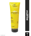 floractive-profissional-marroco-golden-plus-shampoo-250ml
