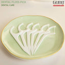 GUBB USA Dental Floss Pick (24 Pcs) - Pack of 2