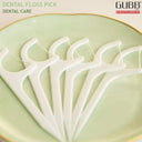 GUBB USA Dental Floss Pick (24 Pcs) - Pack of 2