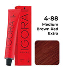 Schwarzkopf Professional Igora Royal Permanent Color Creme (60ml) Igora 4-88 Medium Brown Red