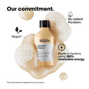 L'Oreal Professionnel Serie Expert Absolut Repair Shampoo 300ml & Hair Mask 250gm (Combo)