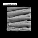 Free Shipping Available.