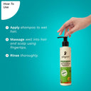 Buy Pilgrim Australian Tea Tree Non-Drying Anti-Dandruff Shampoo For Prevents Dandruff Recurrence (200ml) Online in India