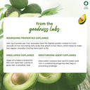 Shop Plum Avocado & Argan Oil Conditioner For Dry & Frizzy Hair With Shea Butter (175ml) Online in India Chennai Tamil Nadu / Review