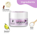 Shop Pilgrim Squalane Blueberry Lip Scrub (8ml) Online in India Chennai Tamil Nadu / Review