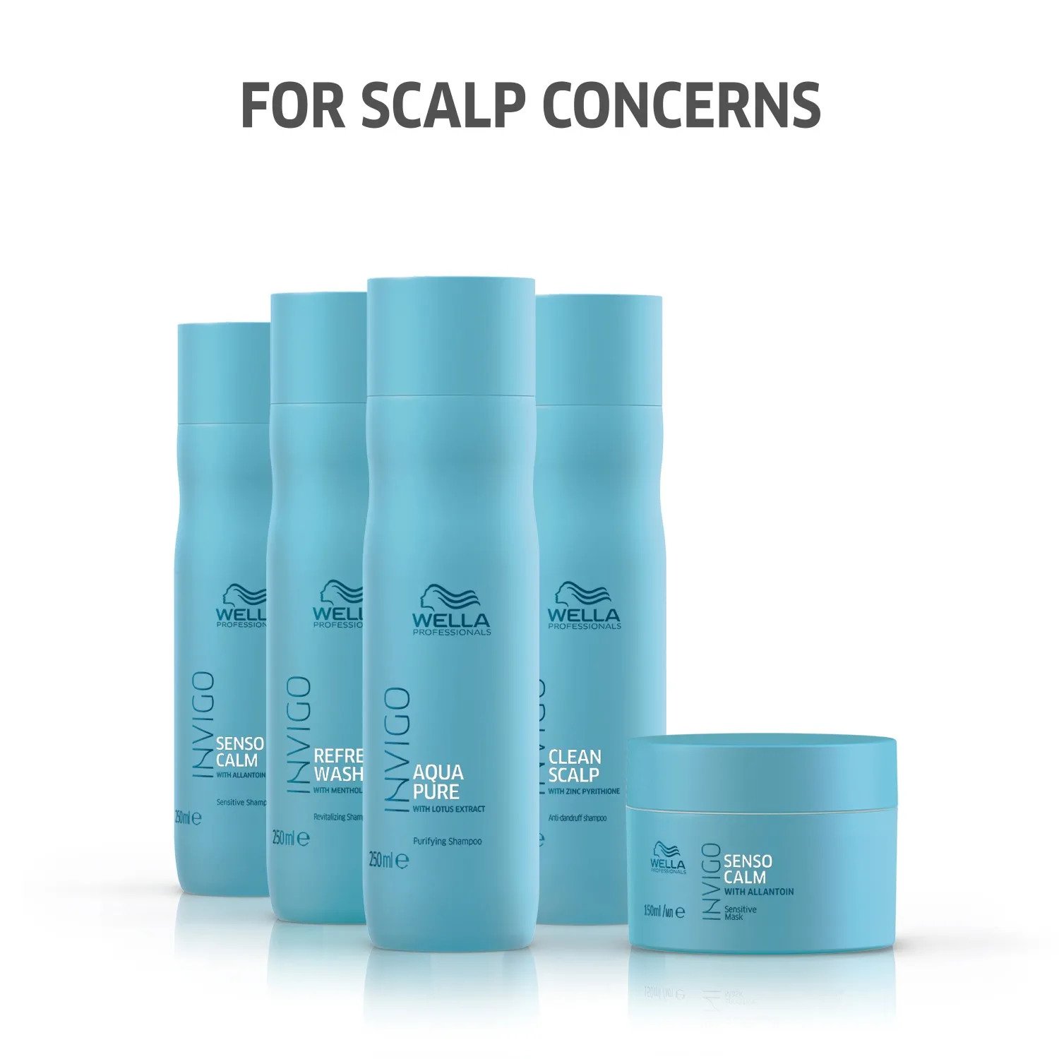 wella-professionals-invigo-clean-scalp-anti-dandruff-shampoo