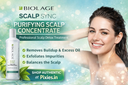 Biolage Scalp Sync Purifying Scalp Concentrate – Professional Scalp Detox Treatment for Healthy Hair