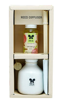 iris-reed-diffuser-apple-cinnamon