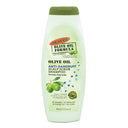 Olive Oil Shampoo