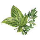 Basil & Parsley Revitalizing Body Soap