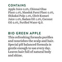 Biotique-Green-Purifying-Shampoo-Conditioner
