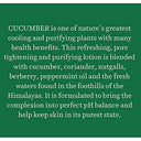 Biotique Bio Cucumber Pore Tightening Toner