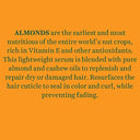 biotique-bio-almond-cashew-fresh-replenishing-serum