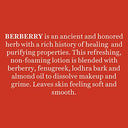 biotique-bio-berberry-hydrating-cleanser