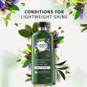 Lightweight Shine Conditioner