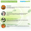 Anti-Pollution Face Cream