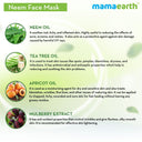 Neem Face Mask