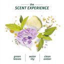 Lightweight Shine Conditioner