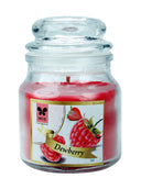 iris-glass-jar-candles-green-dewberry
