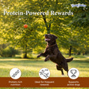 BowJerky Liver Sticks, 200 gm