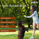 BowJerky Liver Sticks, 200 gm