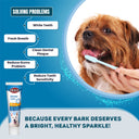 Dog Toothpaste with Tea Tree Oil, 100 gm
