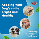 Dog Toothpaste with Mint, 100 gm