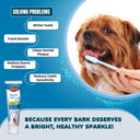 Dog Toothpaste with Mint, 100 gm