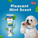 Dog Toothpaste with Mint, 100 gm