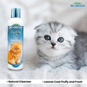 Kuddly Kitty Tearless Kitten Shampoo, 236 ml