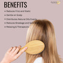 OROSSENTIALS Bamboo Bristles Big Oval Shape Wooden Hair Brush For Women (ORO-013)