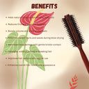 OROSSENTIALS Boar Bristles Round Hair Brush For Men And Women (ORO-018)