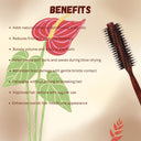 OROSSENTIALS Twirl Design Boar Bristles Round Hair Brush (ORO-019)