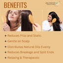 OROSSENTIALS Bamboo Bristles Small Oval Shape Wooden Hair Brush For Women (ORO-014)