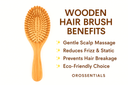 OROSSENTIALS Bamboo Bristles Big Oval Shape Wooden Hair Brush For Women (ORO-013)