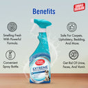 Dog Stain & Odor Remover, 500 ml