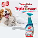 Dog Stain & Odor Remover, 750 ml