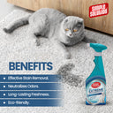 Cat Stain & Odor Remover, 500ml