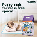 Pawpaya Training Pads, Pack 24 Pads (55 x 56 cm) NEW
