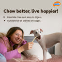 Novee Milky Chew Goat Milk Stick, 500 gm.
