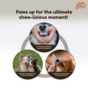 Novee Milky Chew Goat Milk Stick, 500 gm.