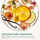 Biolage Scalp Sync Clarifying Shampoo For Oily Scalp (1000ml) - New